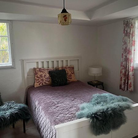 Rosenlund Gods - Kaelder B&B Sakskobing Bagian luar foto