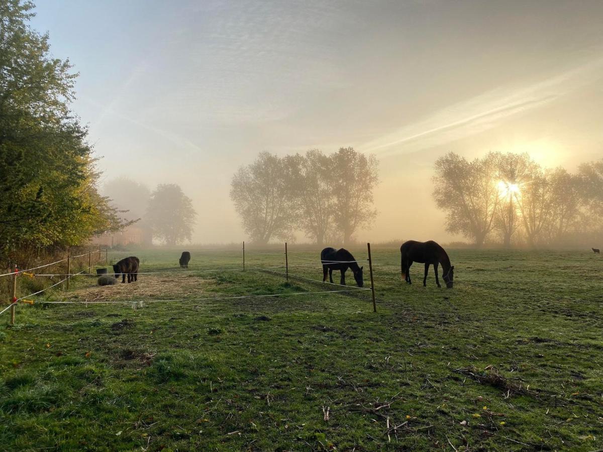 Rosenlund Gods - Kaelder B&B Sakskobing Bagian luar foto