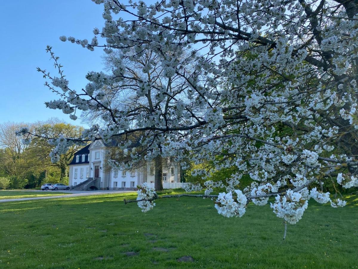 Rosenlund Gods - Kaelder B&B Sakskobing Bagian luar foto