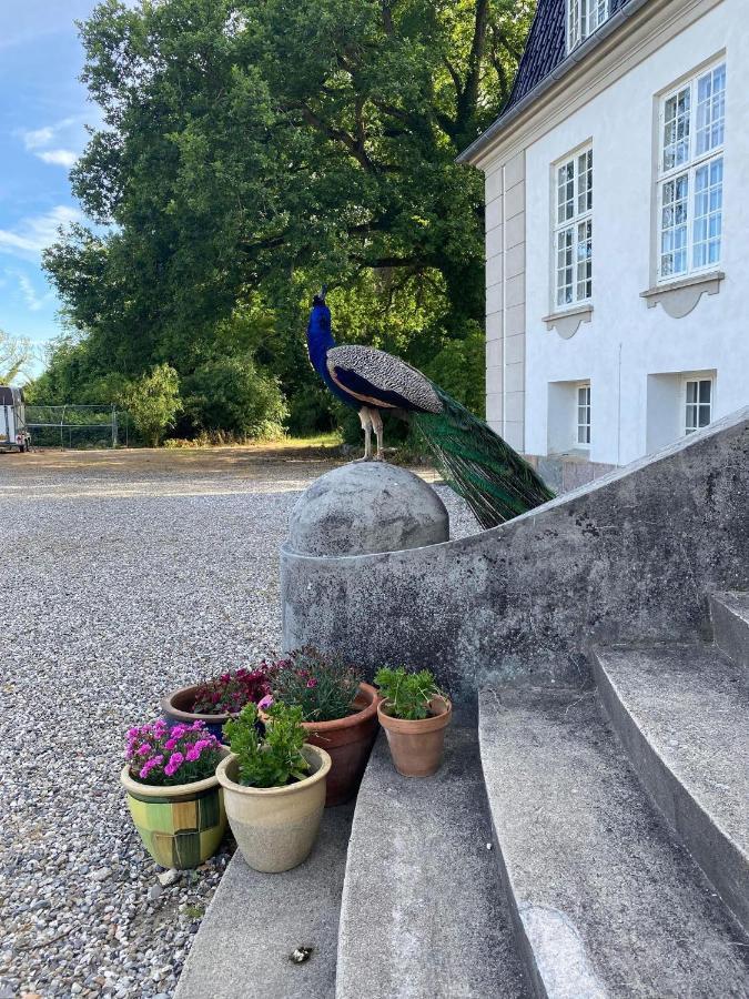 Rosenlund Gods - Kaelder B&B Sakskobing Bagian luar foto
